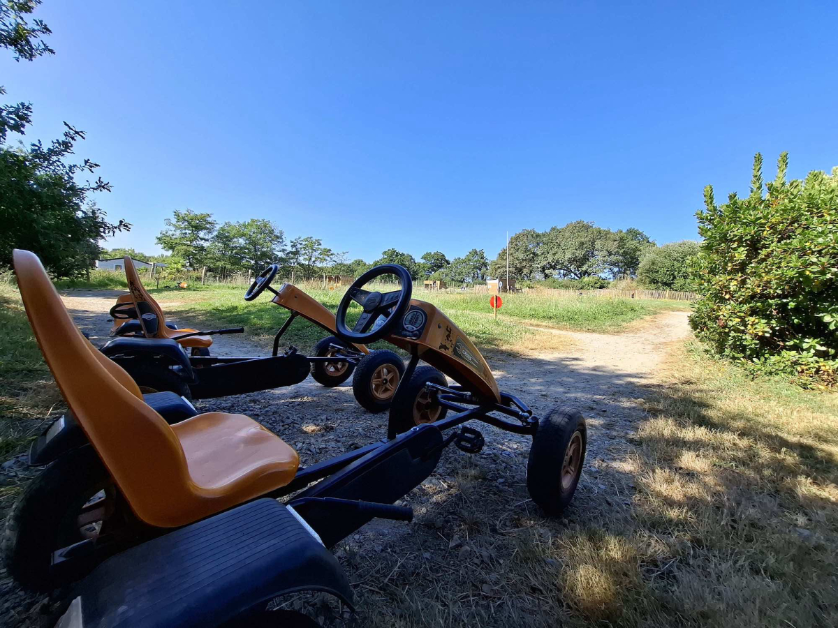 L'Ambois Paesi della Loira - Mouilleron-le-Captif visuel 23/32