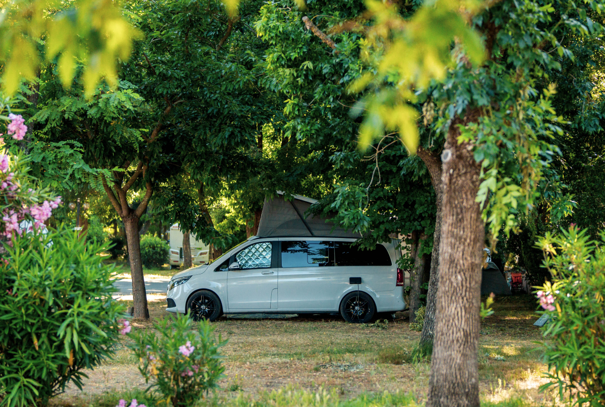 L'Argentière Provenza-Alpi-Costa Azzurra - Cogolin visuel 13/15