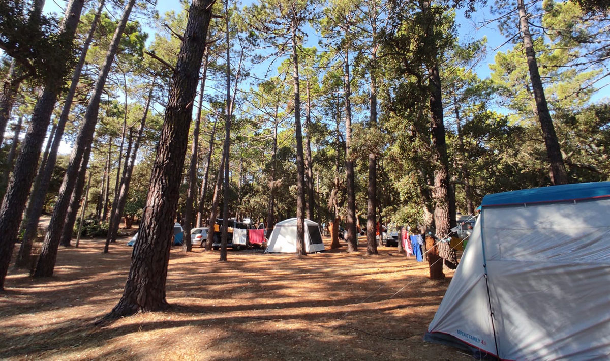 L'Arutoli Corsica - Porto-Vecchio visuel 4/6