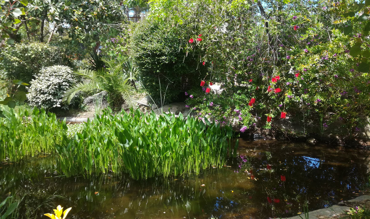 L'Arutoli Corsica - Porto-Vecchio visuel 6/6