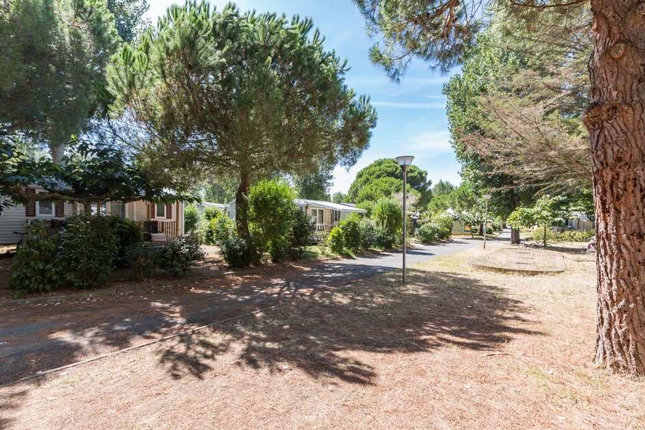 L'Etoile de Mer Linguadoca-Rossiglione - Sérignan visuel 19/24