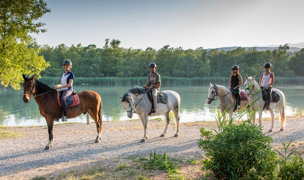 L'Hippocampe Provenza-Alpi-Costa Azzurra - Volonne visuel 15/36