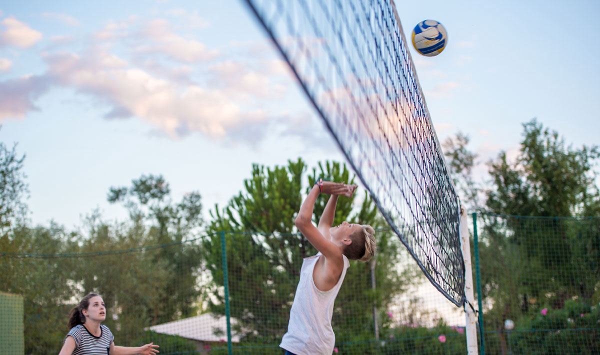 L'Hippocampe Provenza-Alpi-Costa Azzurra - Volonne visuel 17/36