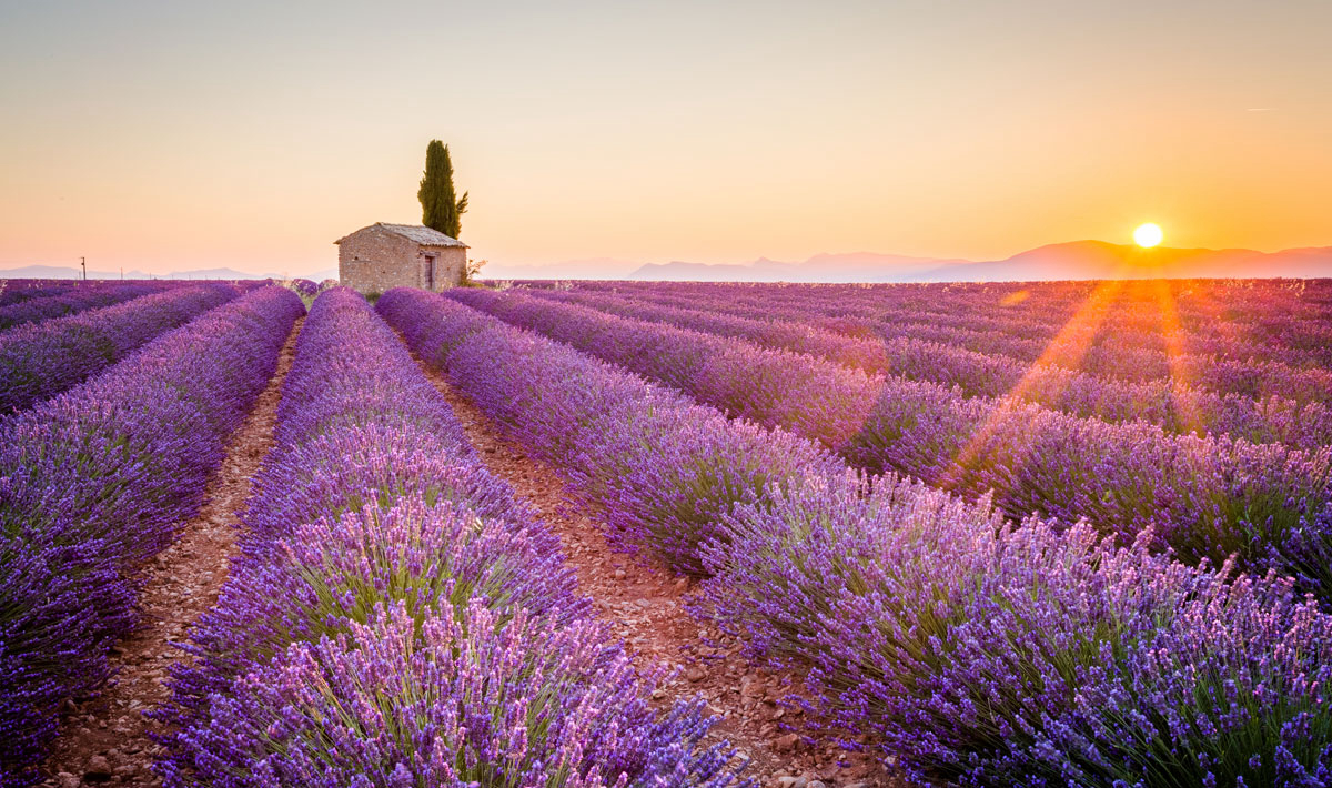 L'Hippocampe Provenza-Alpi-Costa Azzurra - Volonne visuel 34/36