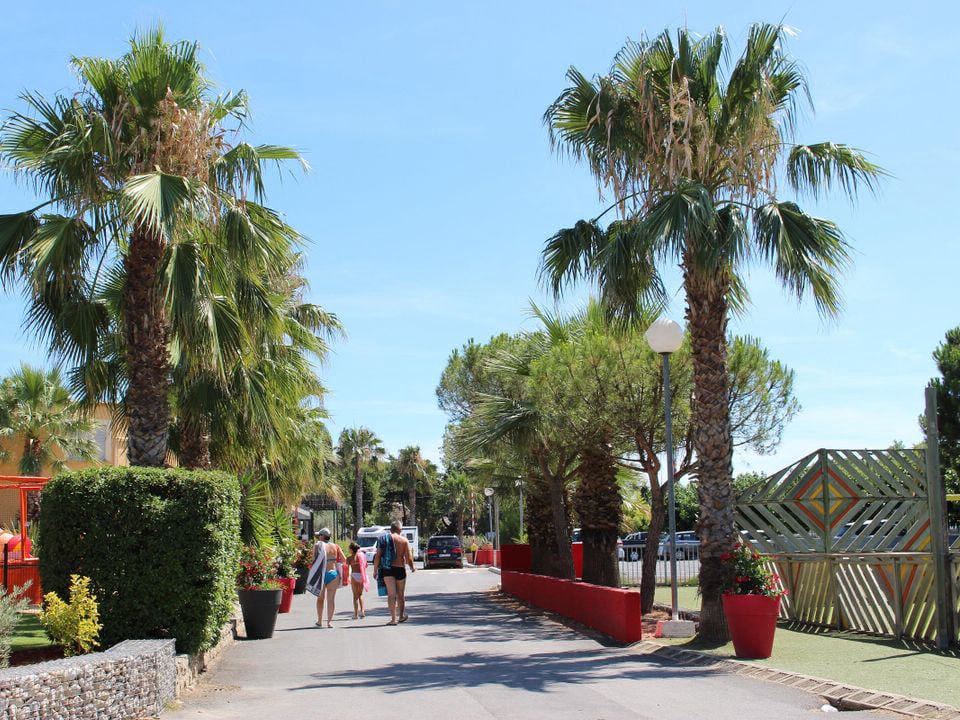 L'Oasis Palavasienne Linguadoca-Rossiglione - Lattes visuel 8/9