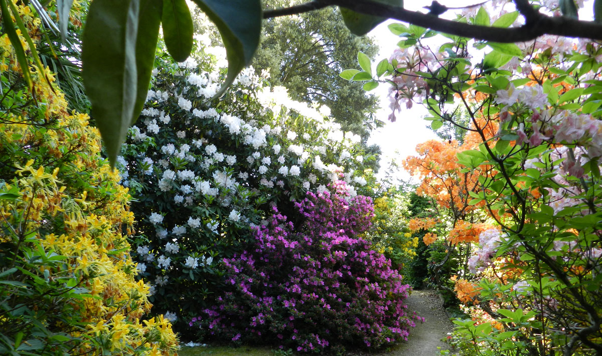 L'Orangerie de Lanniron Bretagna - Quimper visuel 12/18 L'Orangerie de Lanniron Bretagna - Quimper visuel 12/18