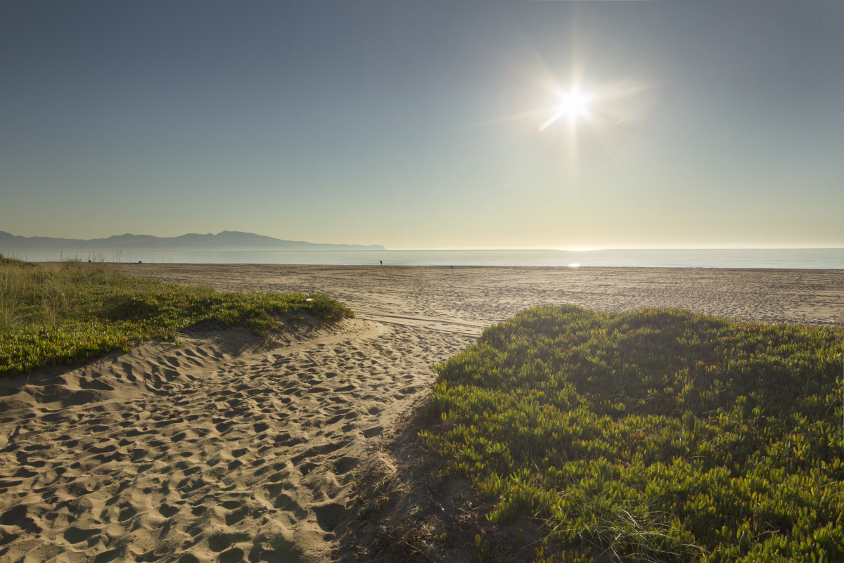 La Ballena Alegre Costa Brava - Sant Pere Pescador visuel 43/45