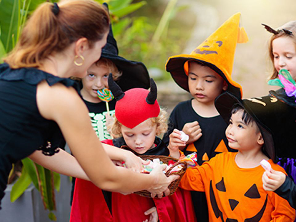 La Berge Fleurie Linguadoca-Rossiglione - Mialet visuel 4/5 La Berge Fleurie Linguadoca-Rossiglione - Mialet visuel 4/5