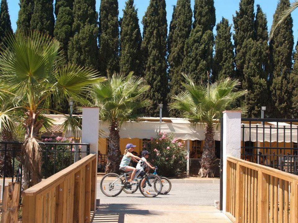 La Brûlade Provenza-Alpi-Costa Azzurra - La Londe-les-Maures visuel 3/6