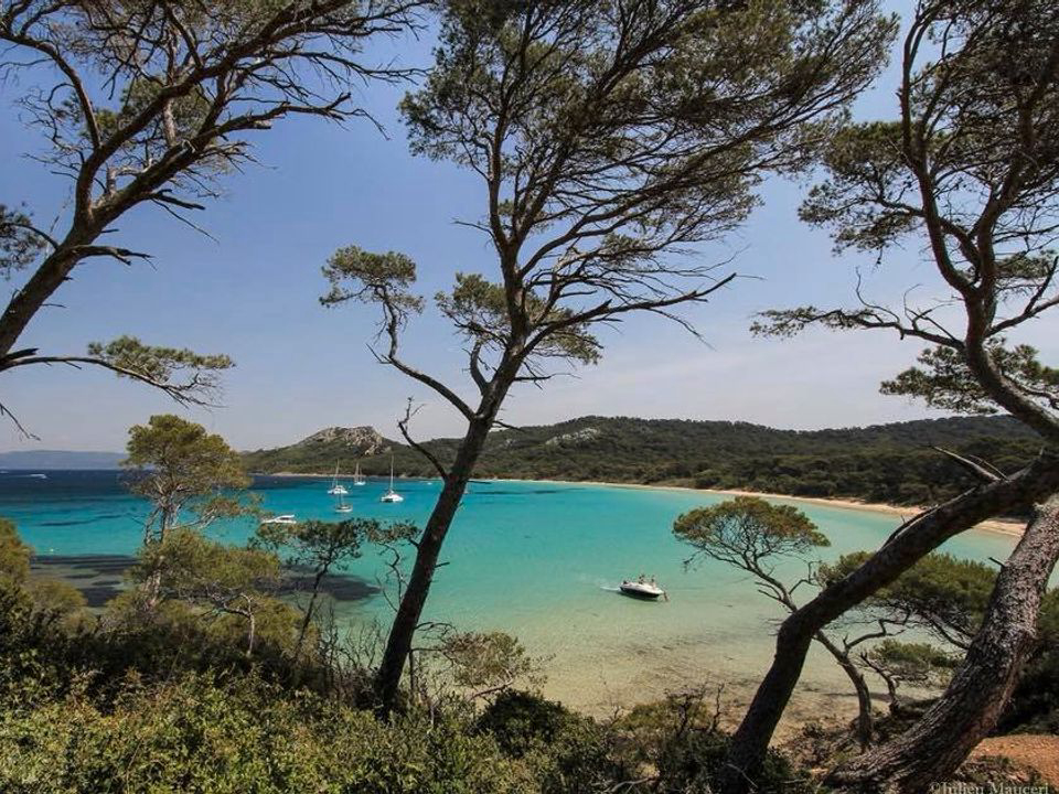 La Brûlade Provenza-Alpi-Costa Azzurra - La Londe-les-Maures visuel 5/6