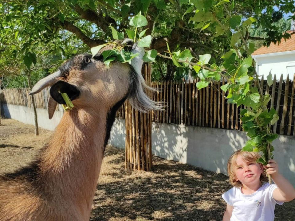 La Conge Paesi della Loira - Saint-Hilaire-de-Riez visuel 4/7