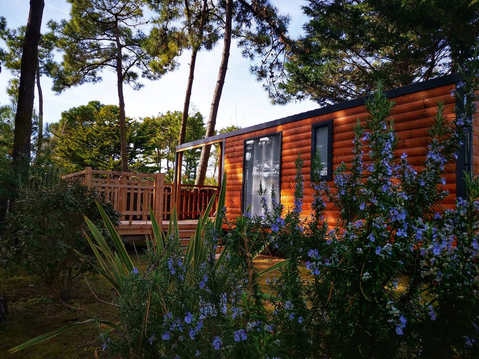 La Conge Paesi della Loira - Saint-Hilaire-de-Riez visuel 5/7