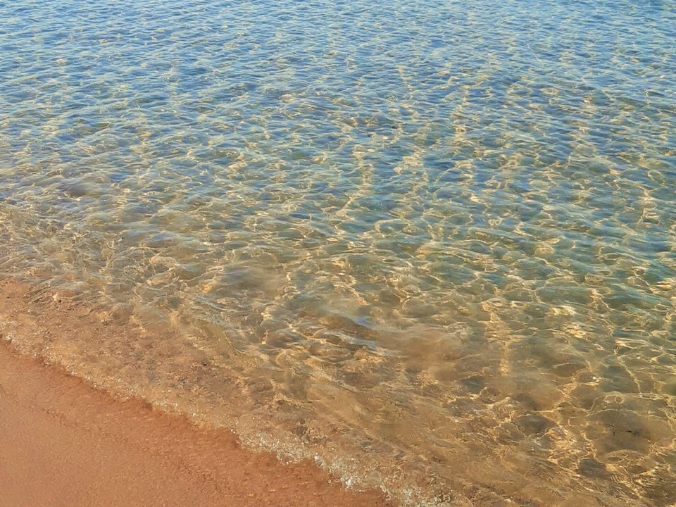 La Dolce Vita Corsica - Calvi visuel 4/11