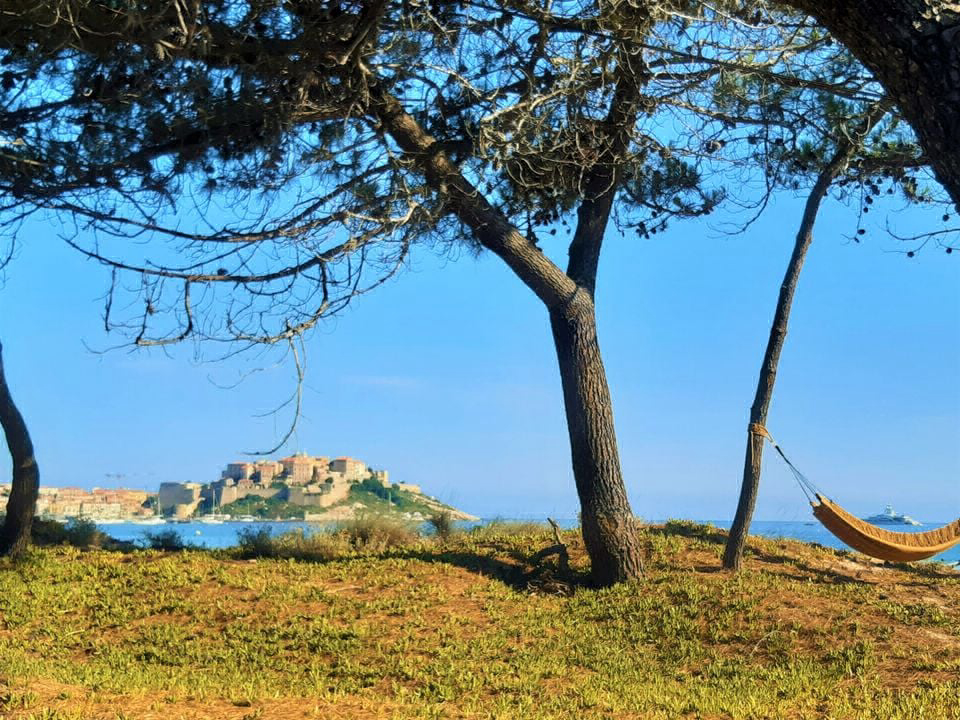 La Dolce Vita Corsica - Calvi visuel 7/11