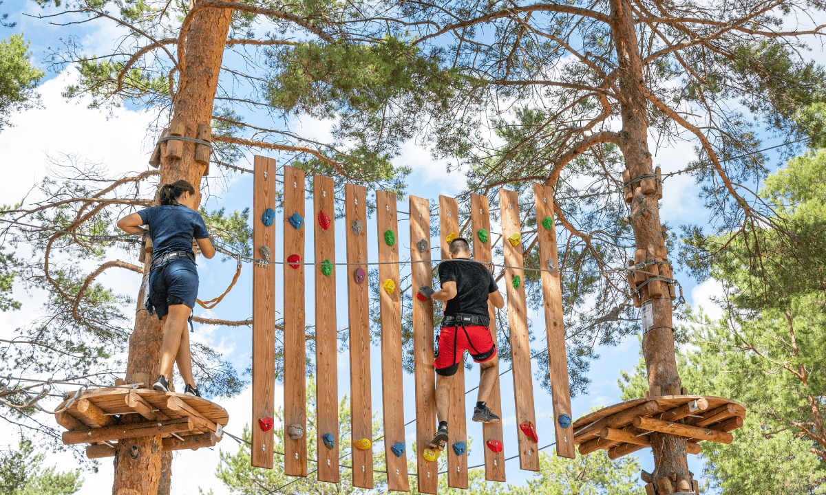 La Farigoulette Provenza-Alpi-Costa Azzurra - Saint-Laurent-du-Verdon visuel 5/22