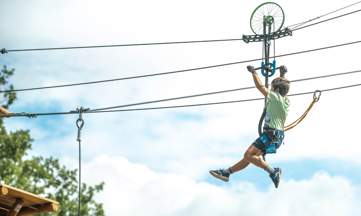 La Farigoulette Provenza-Alpi-Costa Azzurra - Saint-Laurent-du-Verdon visuel 6/22