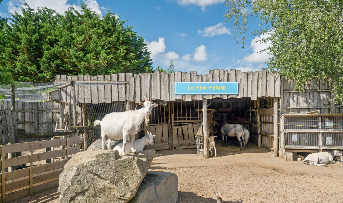 La Grand'Métairie Paesi della Loira - Saint-Hilaire-la-Forêt visuel 13/46