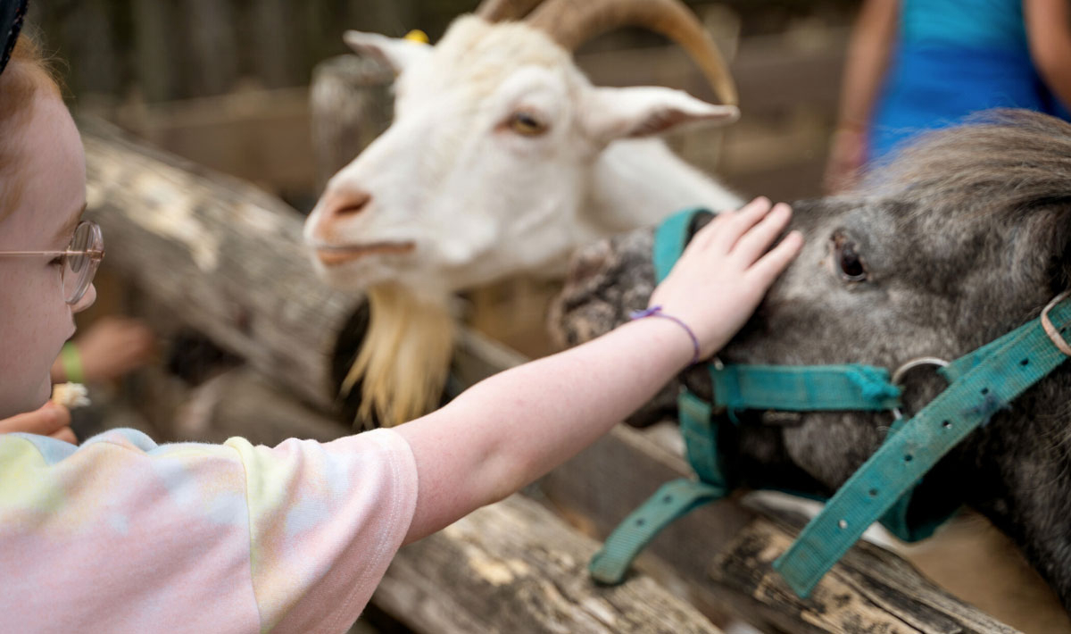 La Grand'Métairie Paesi della Loira - Saint-Hilaire-la-Forêt visuel 26/46
