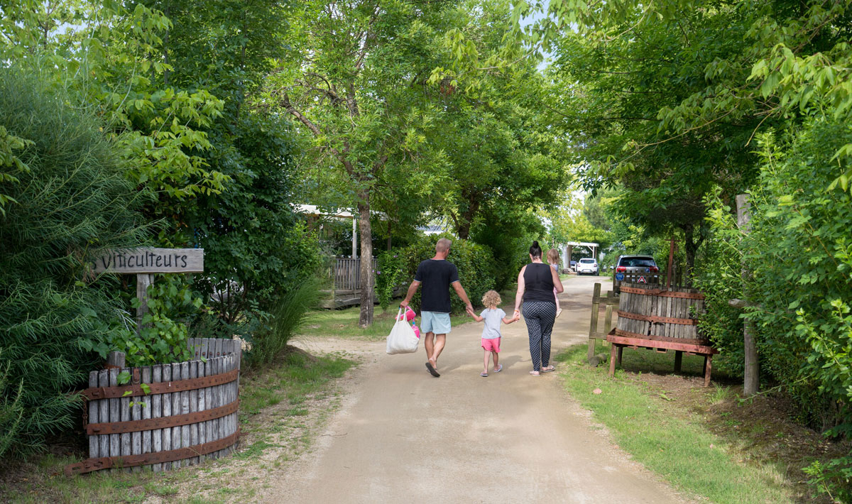La Grand'Métairie Paesi della Loira - Saint-Hilaire-la-Forêt visuel 18/46