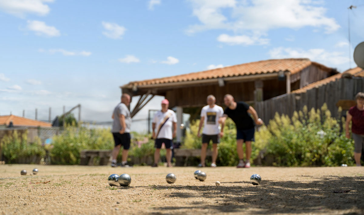 La Grand'Métairie Paesi della Loira - Saint-Hilaire-la-Forêt visuel 15/46