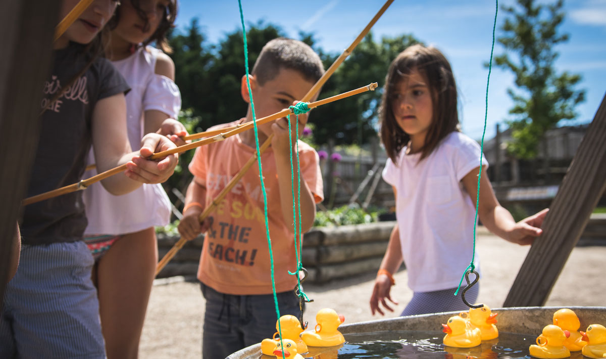 La Grand'Métairie Paesi della Loira - Saint-Hilaire-la-Forêt visuel 28/46