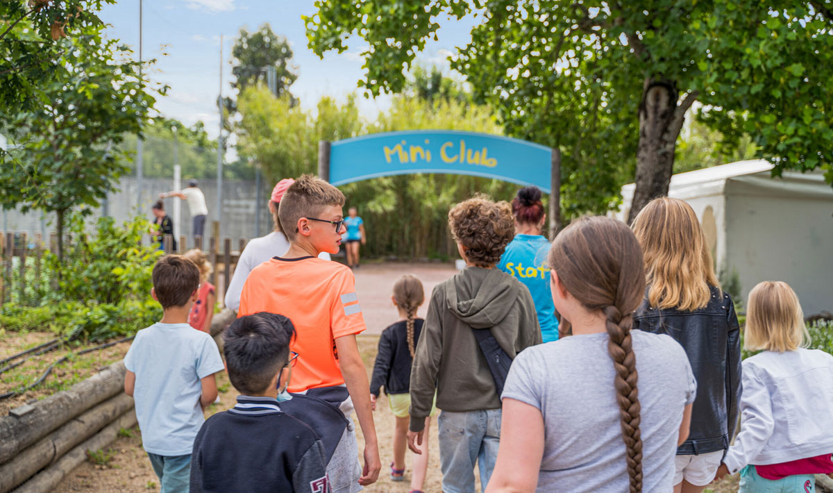 La Grand'Métairie Paesi della Loira - Saint-Hilaire-la-Forêt visuel 11/46