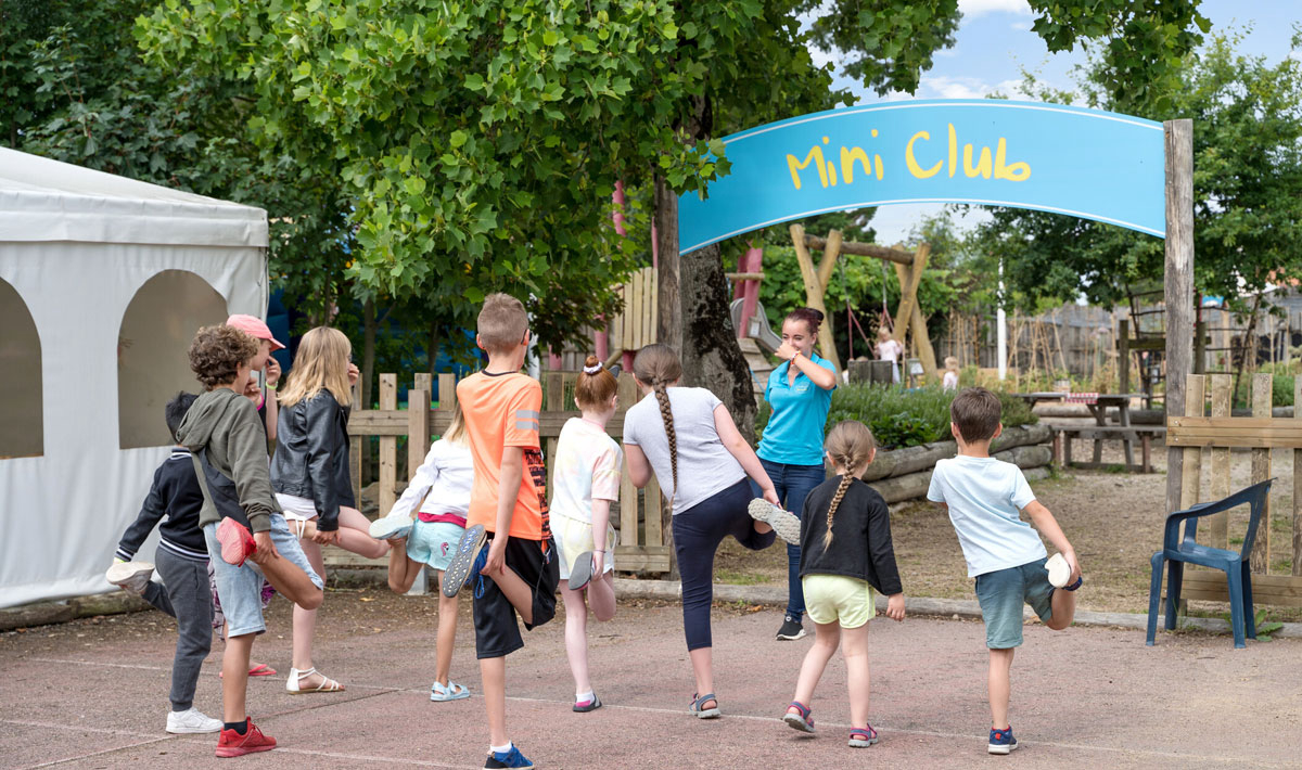 La Grand'Métairie Paesi della Loira - Saint-Hilaire-la-Forêt visuel 17/46