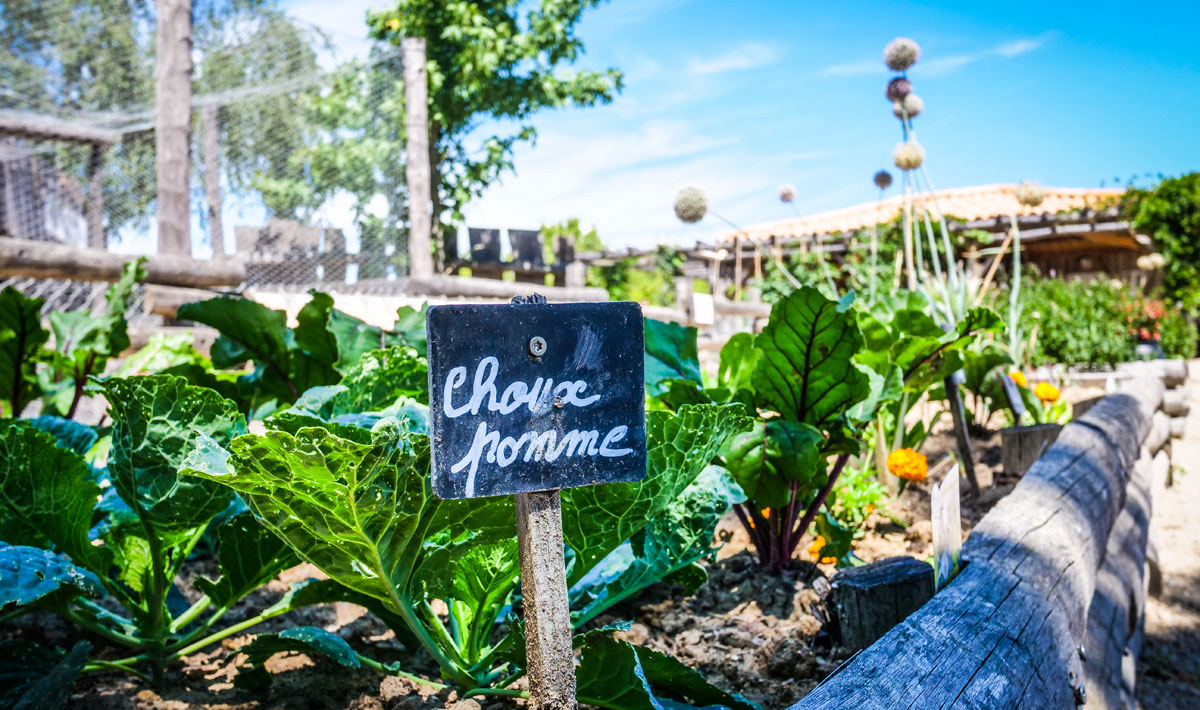 La Grand'Métairie Paesi della Loira - Saint-Hilaire-la-Forêt visuel 29/46