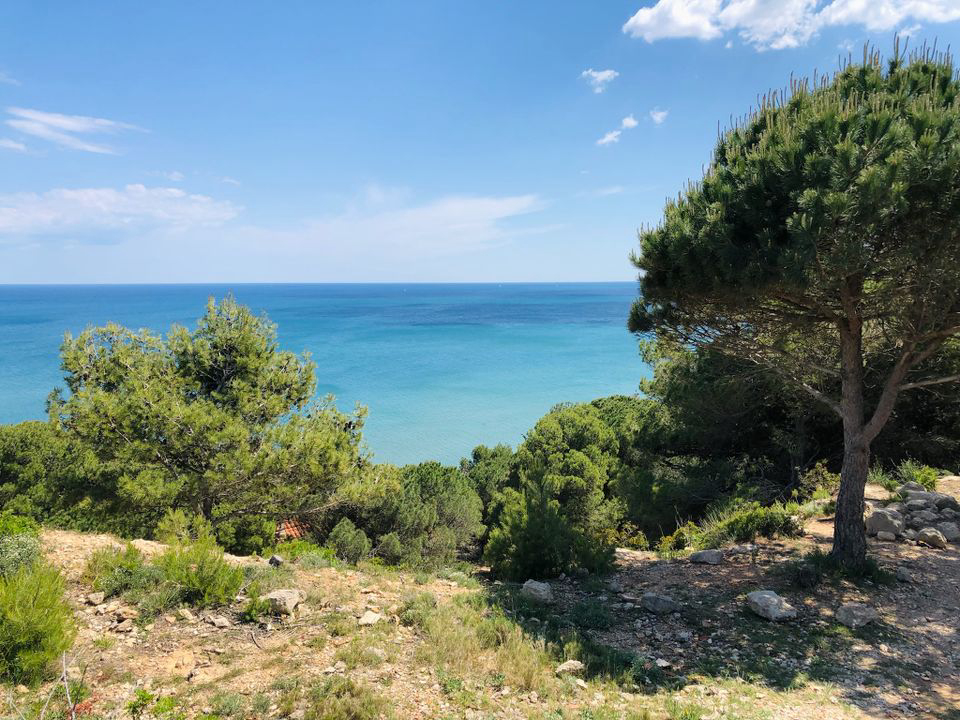 La Grange Neuve Linguadoca-Rossiglione - Sigean visuel 5/8