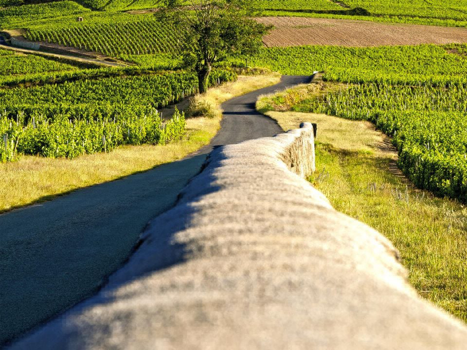 La Grappe Fleurie Rodano-Alpi - Fleurie visuel 7/16