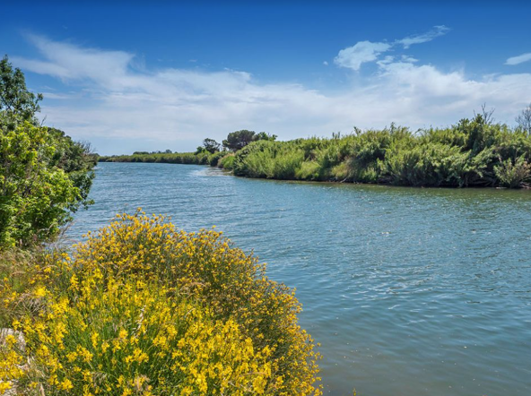 La Maïre Linguadoca-Rossiglione - Sérignan visuel 15/35
