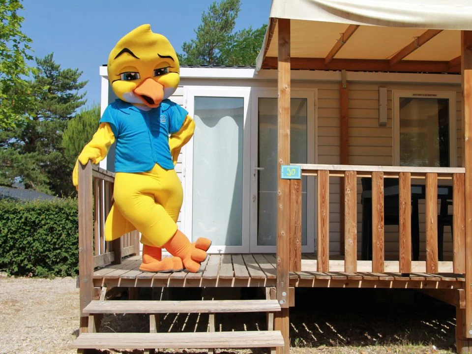 La Pinède Provenza-Alpi-Costa Azzurra - Gréoux-les-Bains visuel 6/9