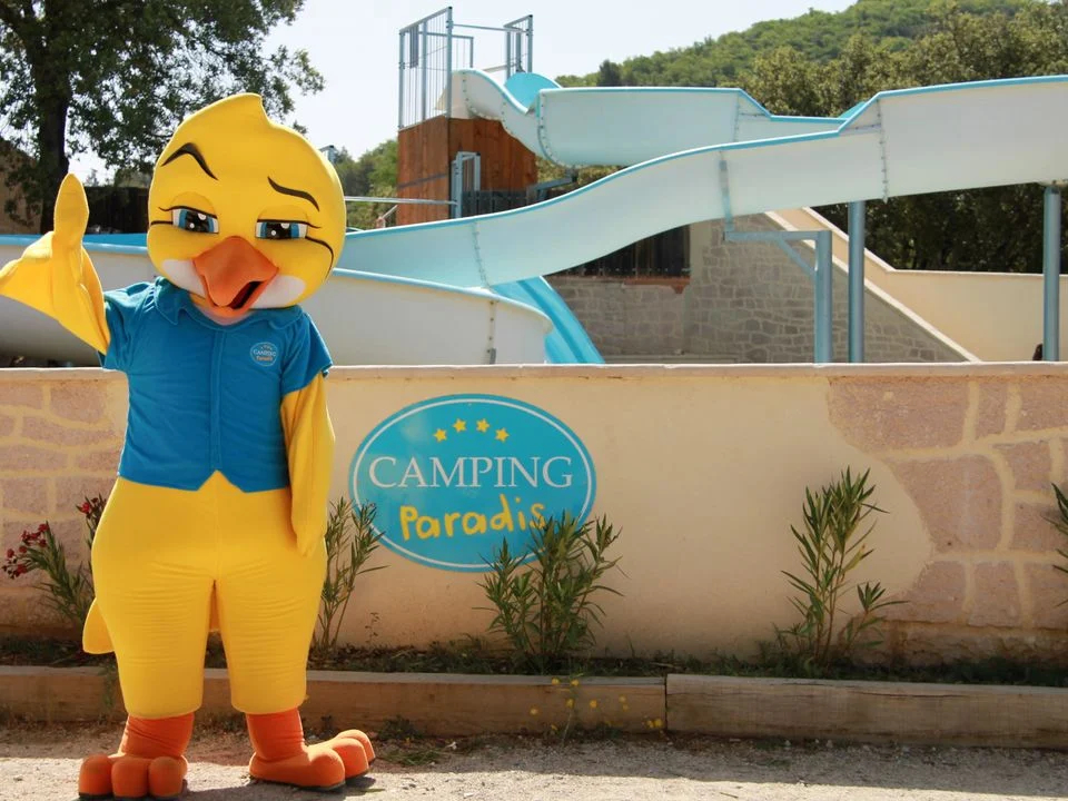 La Pinède Provenza-Alpi-Costa Azzurra - Gréoux-les-Bains visuel 4/9