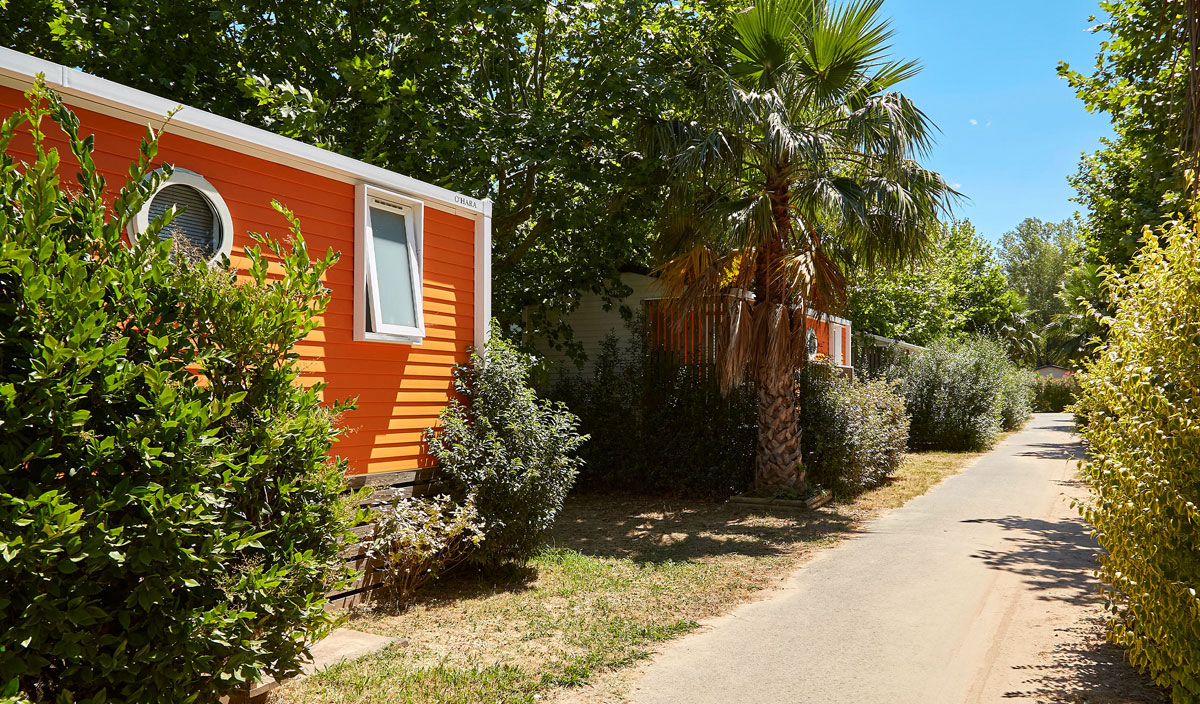 La Plage d'Argens Provenza-Alpi-Costa Azzurra - Saint-Aygulf visuel 5/36 La Plage d'Argens Provenza-Alpi-Costa Azzurra - Saint-Aygulf visuel 5/36