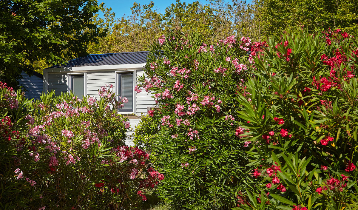 La Plage d'Argens Provenza-Alpi-Costa Azzurra - Saint-Aygulf visuel 33/36 La Plage d'Argens Provenza-Alpi-Costa Azzurra - Saint-Aygulf visuel 33/36