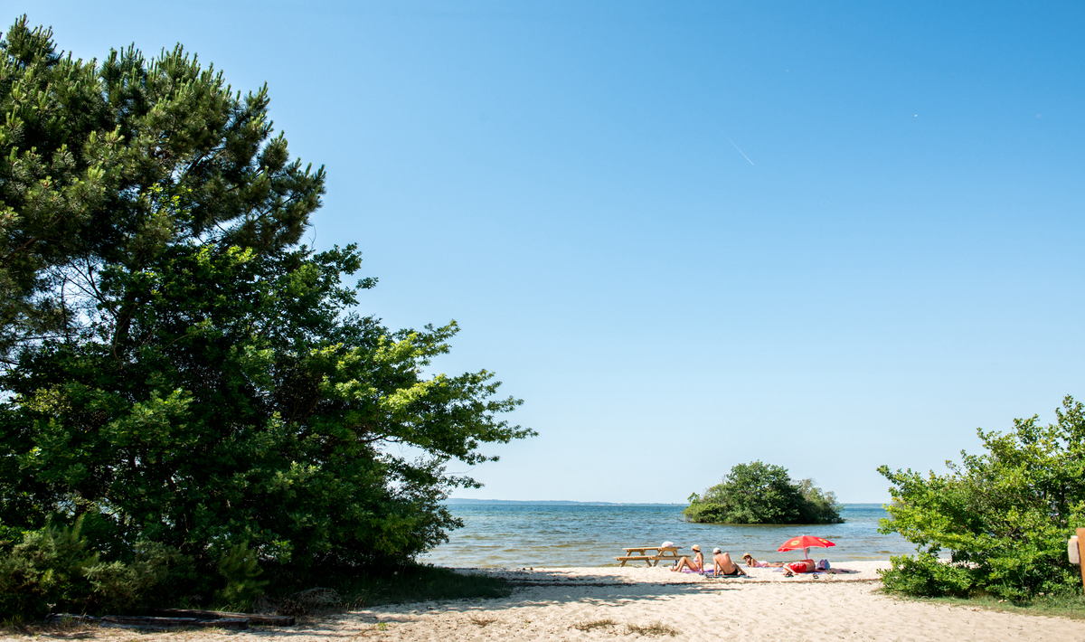 La Réserve Aquitania - Gastes visuel 17/26