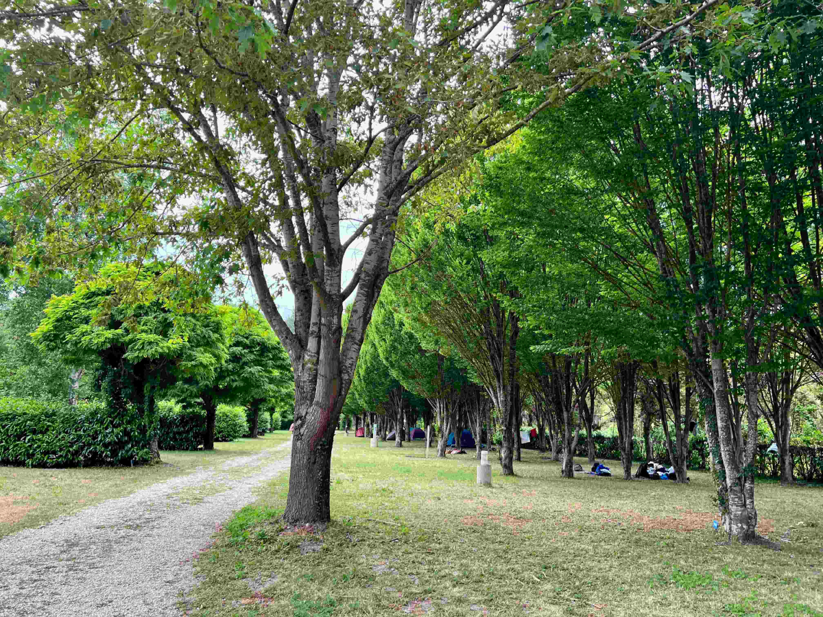 La Rivière Dorée Île-de-France - null visuel 10/22