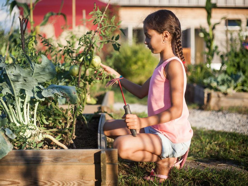 la Roche d'Ully Franca Contea - Ornans visuel 6/7