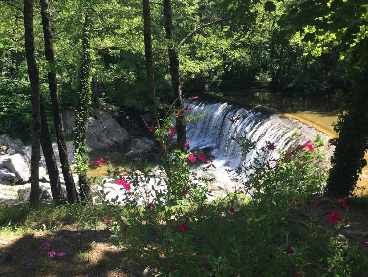 La Salendrinque Linguadoca-Rossiglione - Lasalle visuel 2/5