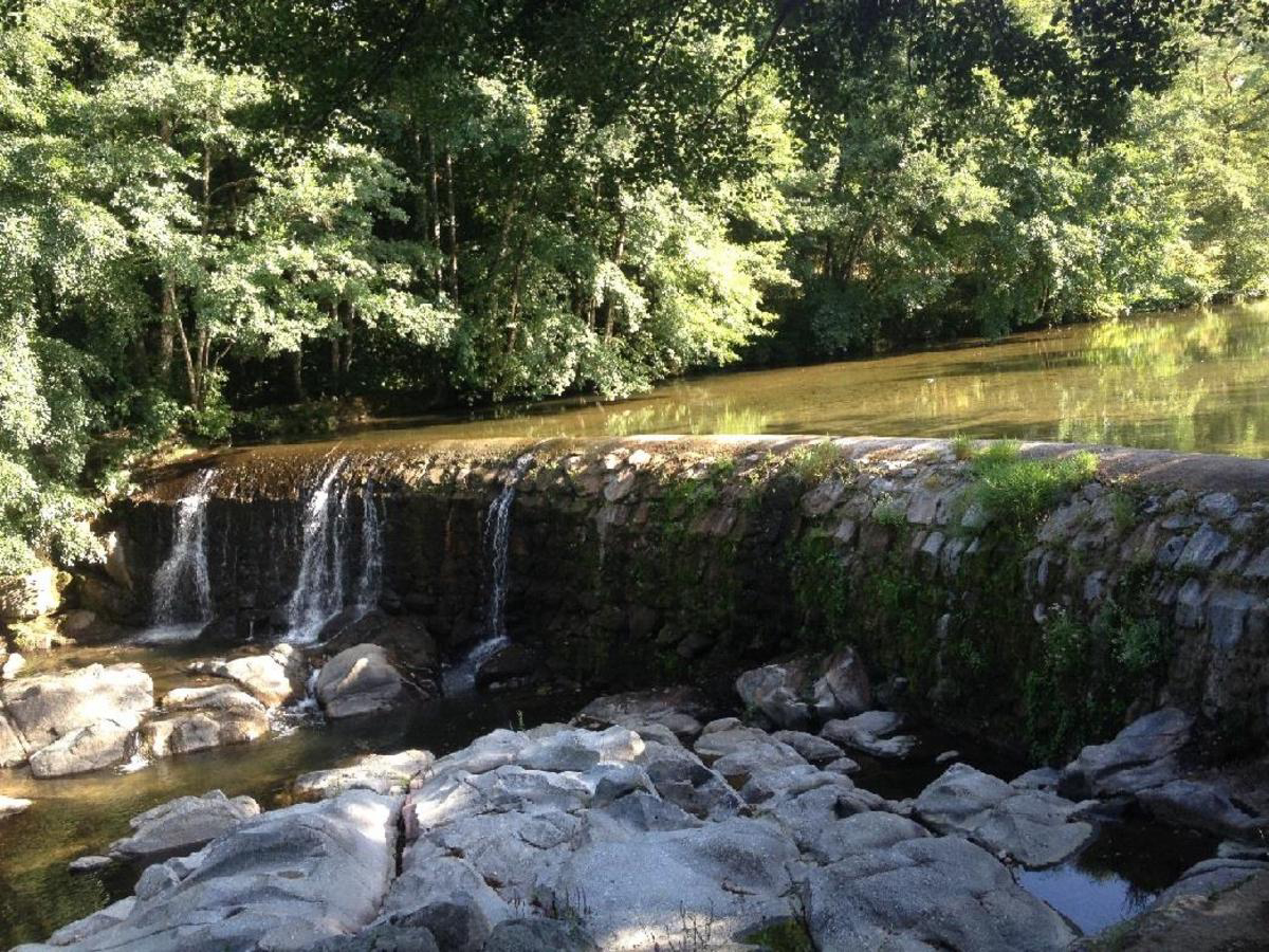 La Salendrinque Linguadoca-Rossiglione - Lasalle visuel 4/5