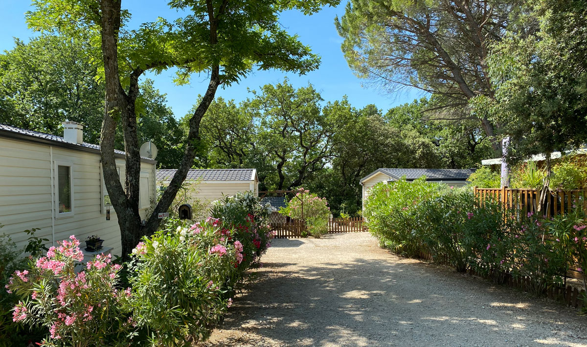 La Vallée de Barry Provenza-Alpi-Costa Azzurra - Bollène visuel 4/9 La Vallée de Barry Provenza-Alpi-Costa Azzurra - Bollène visuel 4/9