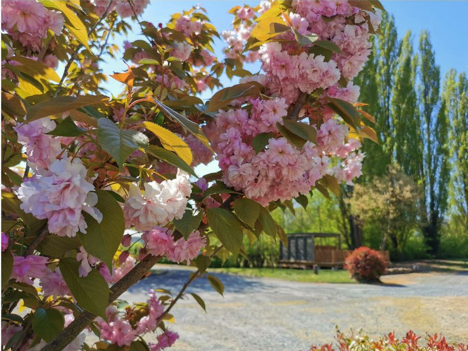 La Vallée de l'Indre Centro-Valle della Loira - Montbazon visuel 6/13 La Vallée de l'Indre Centro-Valle della Loira - Montbazon visuel 6/13