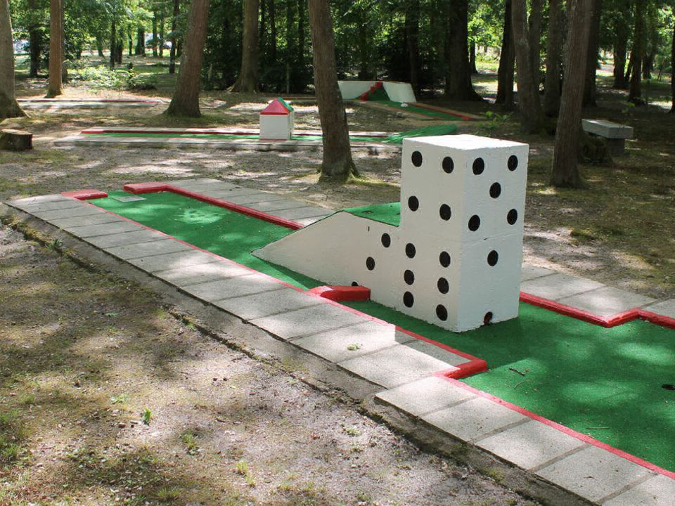 La Vallée de l'Indre Centro-Valle della Loira - Montbazon visuel 3/13 La Vallée de l'Indre Centro-Valle della Loira - Montbazon visuel 3/13