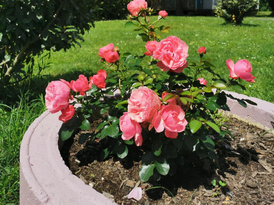 La Vallée de l'Indre Centro-Valle della Loira - Montbazon visuel 8/13 La Vallée de l'Indre Centro-Valle della Loira - Montbazon visuel 8/13