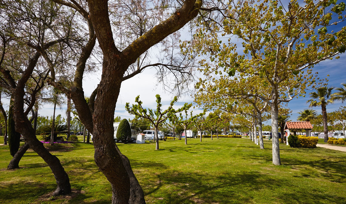Las Palmeras Costa Brava - Sant Pere Pescador visuel 18/22