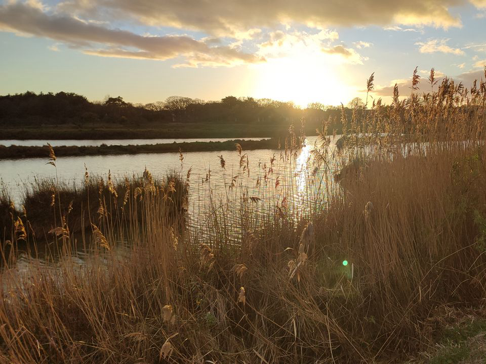 Le Beaupré Paesi della Loira - Mesquer visuel 1/4