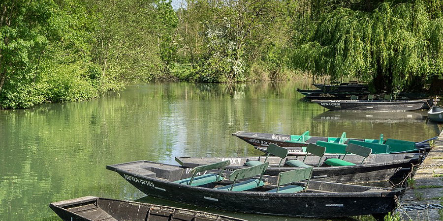 le Bois Dinot Poitou-Charentes - null visuel 5/8 le Bois Dinot Poitou-Charentes - null visuel 5/8