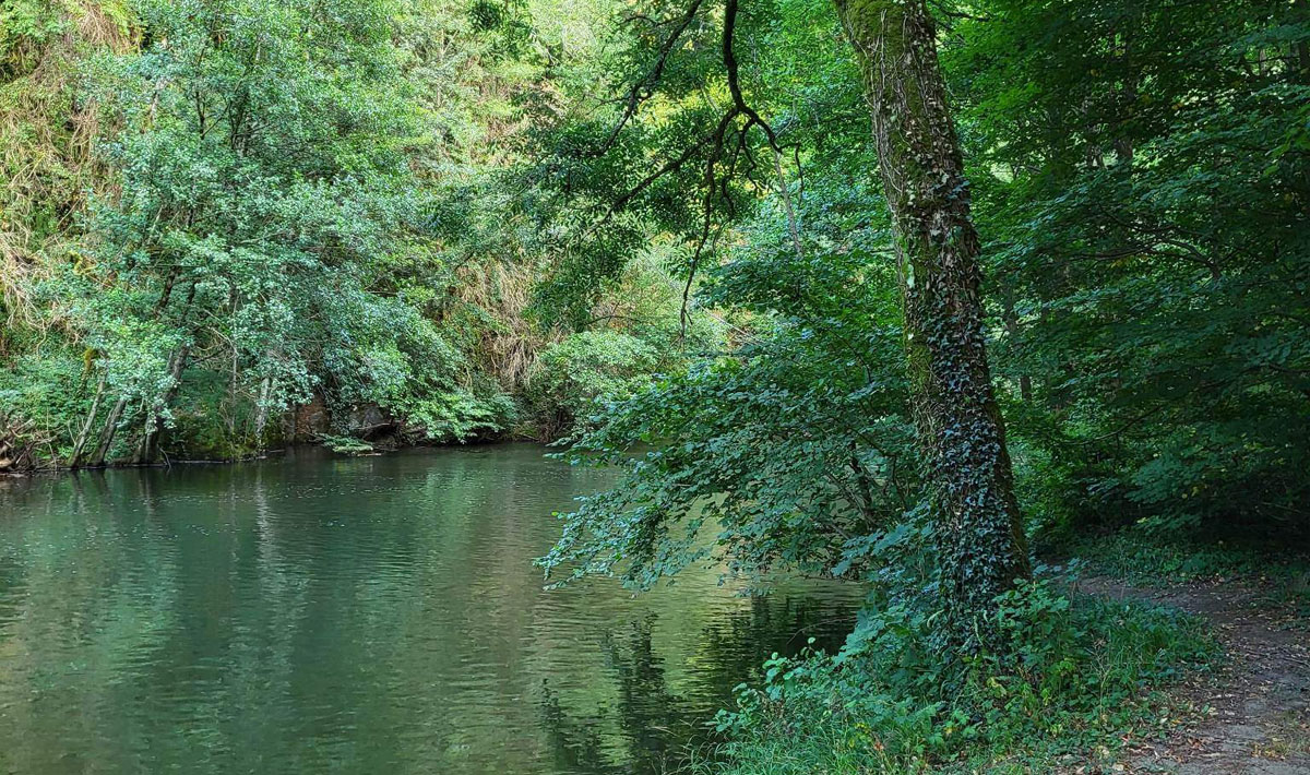 Le Bois Flottant Midi-Pirenei - Lacrouzette visuel 5/7 Le Bois Flottant Midi-Pirenei - Lacrouzette visuel 5/7