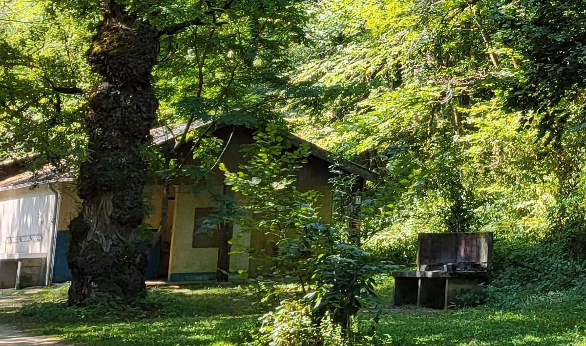 Le Bois Flottant Midi-Pirenei - Lacrouzette visuel 2/7 Le Bois Flottant Midi-Pirenei - Lacrouzette visuel 2/7