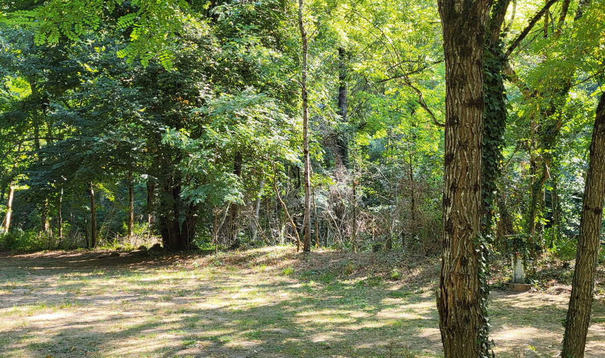 Le Bois Flottant Midi-Pirenei - Lacrouzette visuel 3/7 Le Bois Flottant Midi-Pirenei - Lacrouzette visuel 3/7